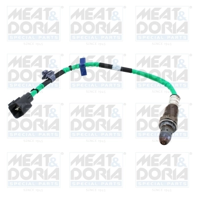 Oxygen Sensor